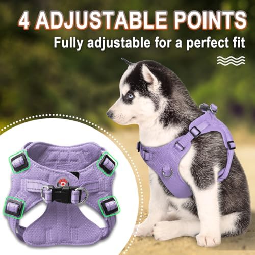 BARKBAY Small Dog Harness, No Pull Puppy Harness, Step-in Dog Vest - Image 3