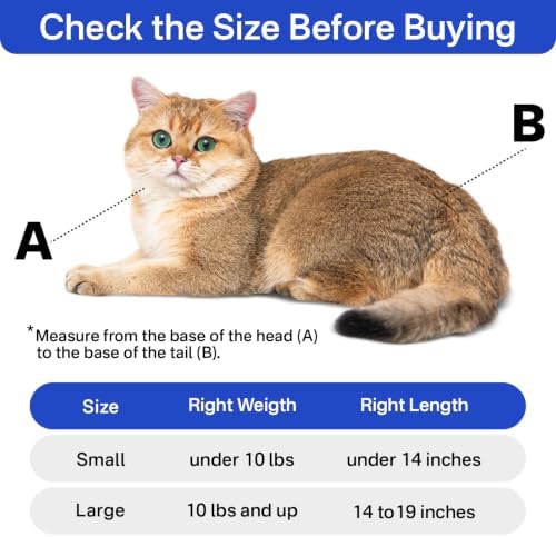 Cat Carrier Pouch for Small Cats Under 10 lbs, Soft Cat Carrier - Image 2