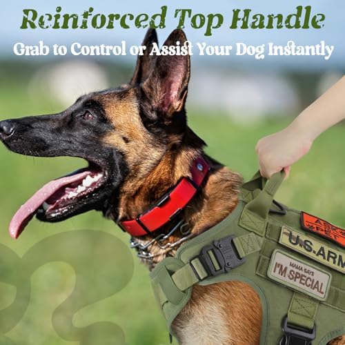 rabbitgoo Tactical Dog Harness for Small, Heavy Duty Military No Pull Vest - Image 3