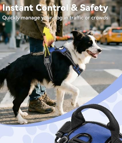 Joytale No Pull Dog Harness for Small Dogs, Front Clip - Image 3