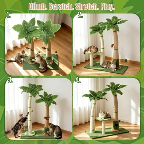 Cat Scratching Post - Image 6