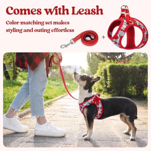 rabbitgoo Dog Harness Medium Sized and Leash Set, Step-in Puppy Pet Vest - Image 6