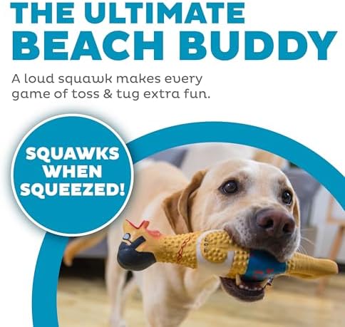 Outward Hound Squawkers Squeaky Latex Dog Toy - Image 2