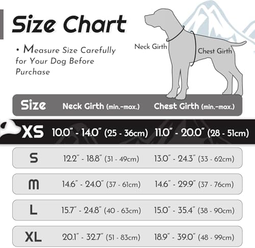 Eagloo Dog Harness for Small Dogs, No Pull Pet Vest - Image 2