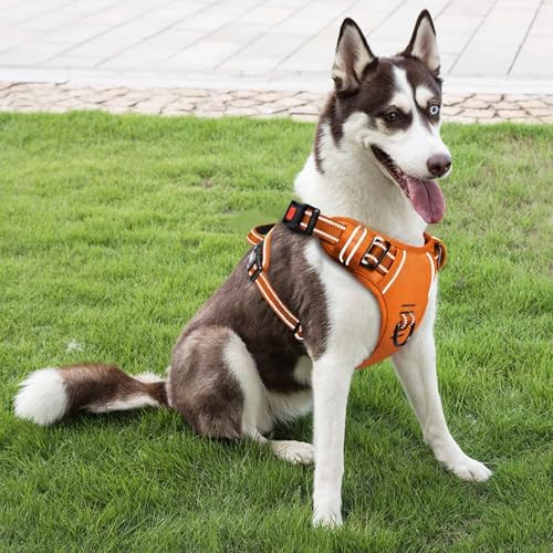 Timos Dog Harness Large Sized, Quick Release Buckles - Image 6