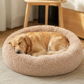 JOLLYVOGUE Calming Dog Beds Extra Large Sized Dog, 45in Donut Washable Large by JOLLYVOGUE