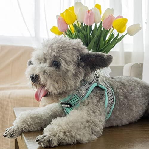 AIITLE Dog Harness and Leash Set, Step-in Puppy Pet Vest, Turquoise XL - Image 6
