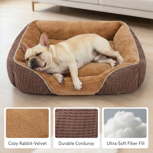 MIXJOY Dog Beds for Medium Dogs Washable, Calming Pet Bed Medium Size Dog - Image 2