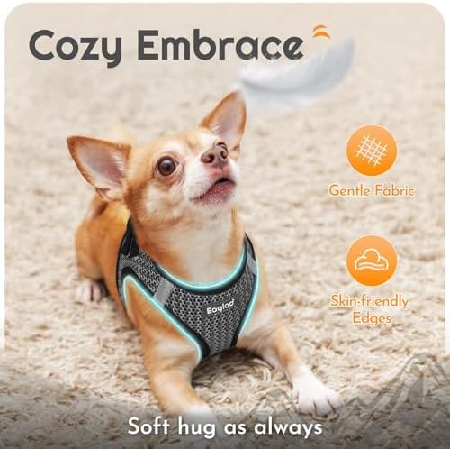 Eagloo Small Dog Harness and Leash Set, Step in Small Sized Puppy Pet Vest - Image 4