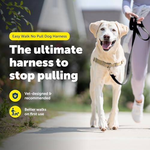 PetSafe Easy Walk Harness, No Pull Dog Harness - Image 2