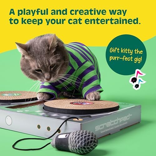 DJ Scratchpad Enrichment Cat and Kitten Toys - Image 3