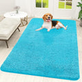 OLANLY Dog Door Mat for Muddy Paws 59x35, Super Absorbent Chenille Mud Mat by OLANLY