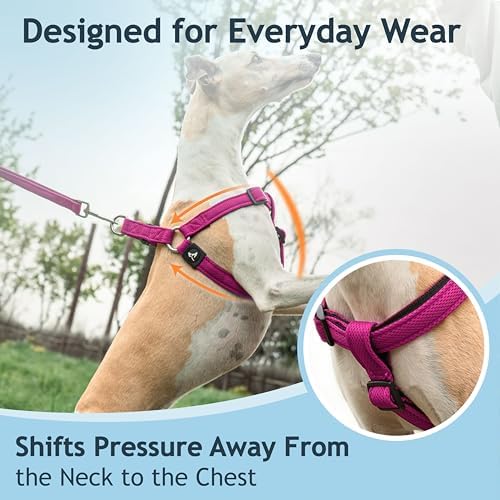 Kruz No Pull Dog Harness Heavy-Duty Pet Harness - Image 6