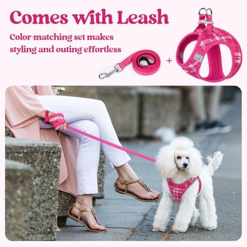 rabbitgoo Dog Harness Small Sized and Leash Set, Step-in Puppy Pet Vest - Image 6