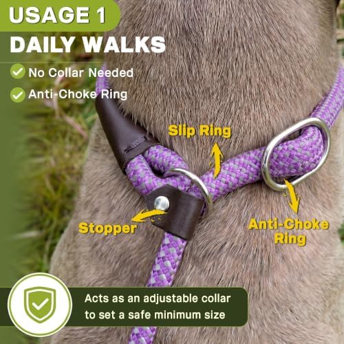 Fida Durable Slip Lead Dog Leash, 6 FT x 1/2" Dog Training Leash - Image 4