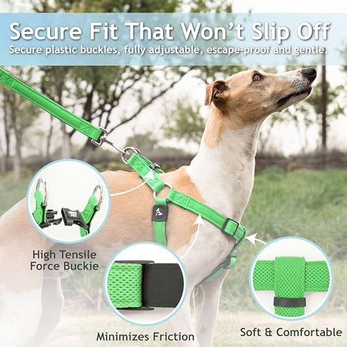 KRUZ No Pull Dog Harness Heavy-Duty Pet Harness - Image 2