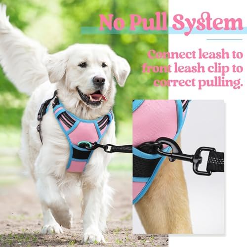 rabbitgoo Dog Harness, No Pull for Small Dogs - Image 6