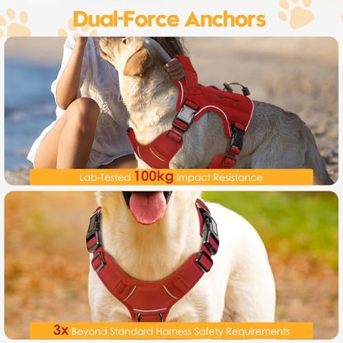 Heavy-Duty Tactical Dog Harness - Image 4
