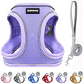 Solmoony Sparkly XXXS Dog Harness and Leash Set, Step in Soft Light Puppy Vest by SOLMOONY