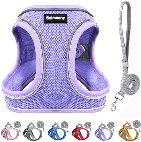 Solmoony Sparkly XXS Dog Harness and Leash Set, Step in Soft Light Puppy Vest by SOLMOONY
