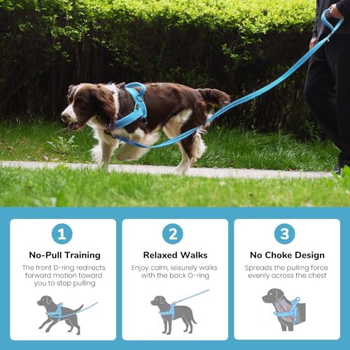 Didog No Pull Dog Harness for Medium Dogs, Soft Flannel Padded - Image 4