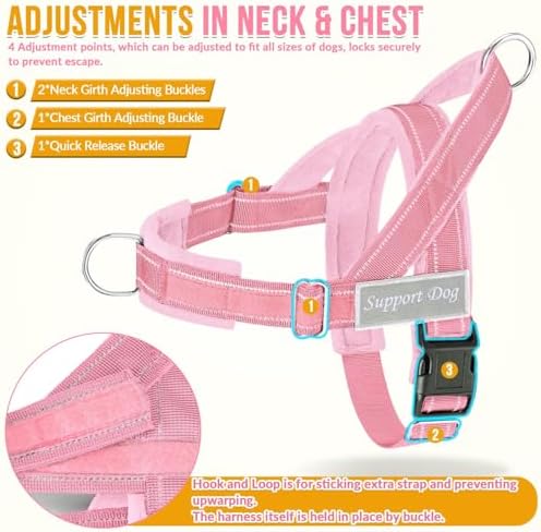 SlowTon No Pull Dog Harness and Leash Set - Image 5