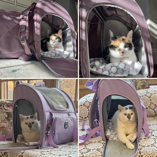 Lollimeow Expandable Large Cat Carrier Backpack, Supports up to 22 lbs - Image 7