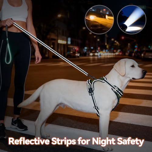 PHOEPET No Pull Dog Harness - Image 5