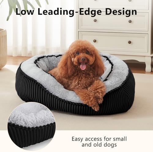 Dog Beds for Medium Small Dogs, Washable Pet Bed - Image 4