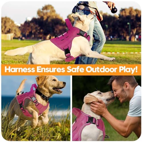 Heavy-Duty Tactical Dog Harness - Image 6