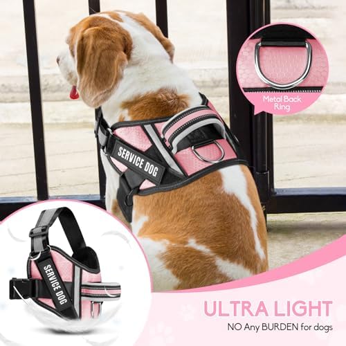 Service Dog Vest Harness and Leash Set, Animire in Training Dog Harness - Image 3