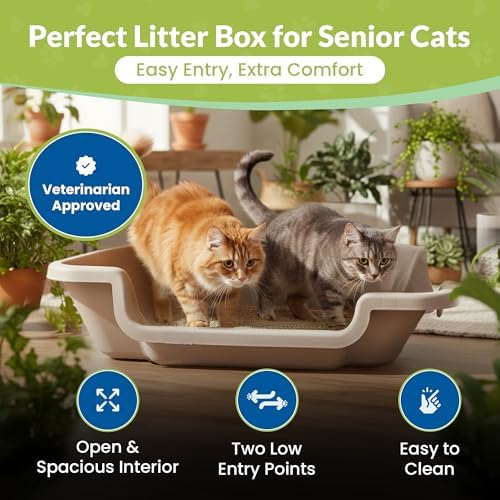 KittyGoHere 2.0 Easy Entry Cat Litter Box, 2 Pack Large Misty Gray - Image 2