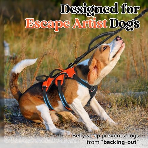 rabbitgoo Escape Proof Dog Harness - Image 2