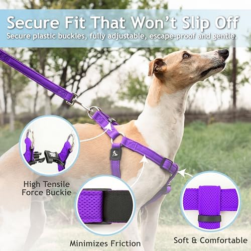 Kruz No Pull Dog Harness Heavy-Duty Pet Harness - Image 2