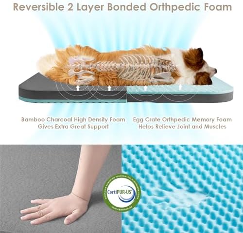 EHEYCIGA Foldable XXL Dog Bed for Large Sized Dog - Image 3