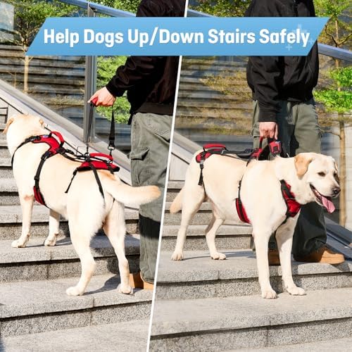 Dog Lifting Harness for Medium Dogs, Dual Handle Dog Support Harness for Daily - Image 4