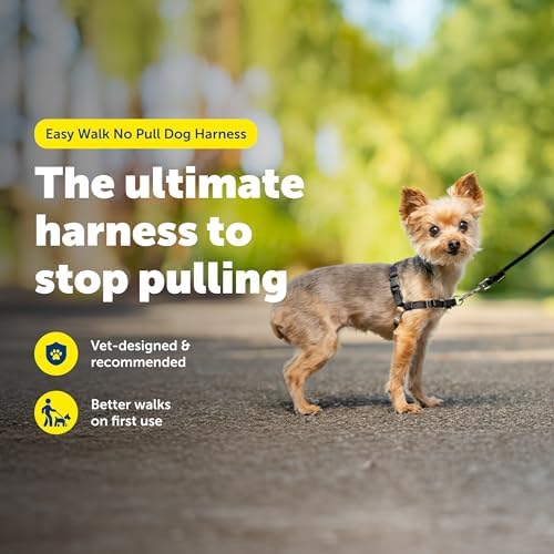 PetSafe Easy Walk Harness, No Pull Dog Harness - Image 3