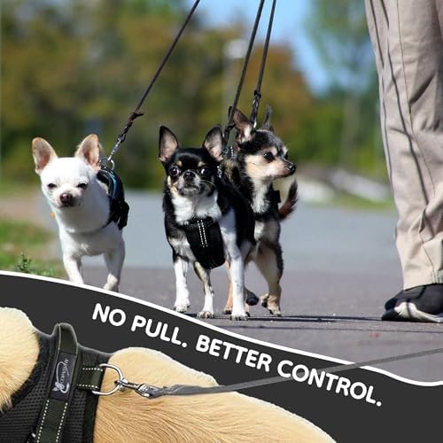 Dog Harness Small Sized Dogs - Image 6
