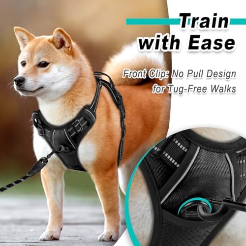 BARKBAY Dog Harness for Medium Sized Dog No Pull 2 Leash Clips Dog Vest - Image 2