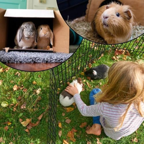 BestPet | Foldable Dog Playpen | 24 Inch, 8 Panels | Metal Pet Exercise Pen - Image 5