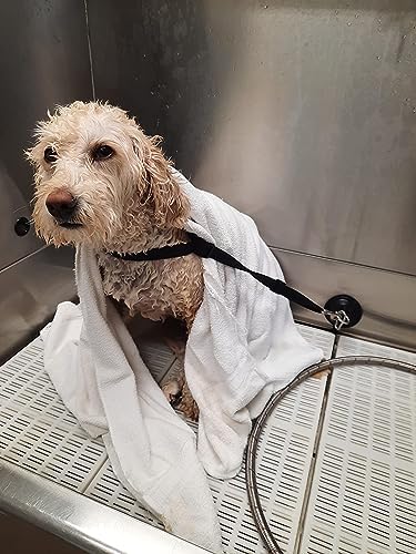 Powerful Suction Cup Hook Cleat - Image 6