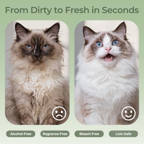 Pet Wipes Gloves for Dogs and Cats, Disposable Pet Cleaning Gloves for Paws - Image 6