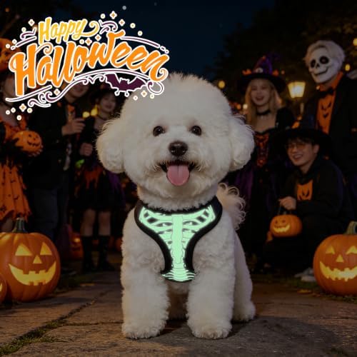 KOOLTAIL Halloween Dog Harness and Leash Set - Image 4