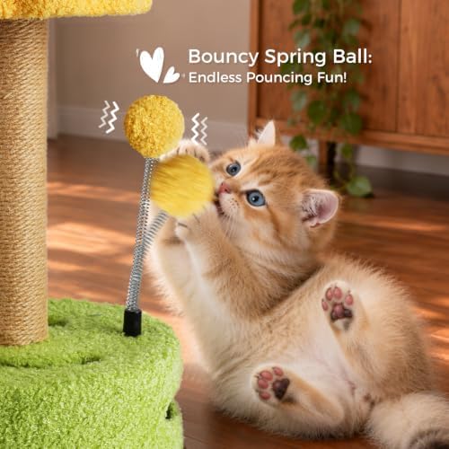 Small Cat Scratching Post with Perch Kitten Toys - Image 4