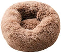 Cat Bed for Indoor Cats, Mini Plush Self Warming Kitten Bed, 20 Inch by BODISEINT