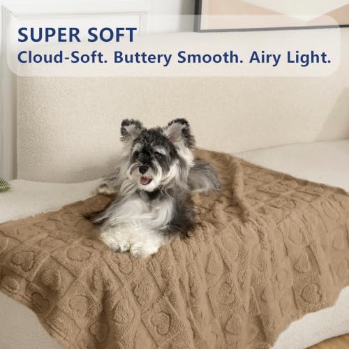 gogobunny Pet Blanket for Dogs Cats, 300GSM Ultra Soft Coral Fleece Blanket - Image 3