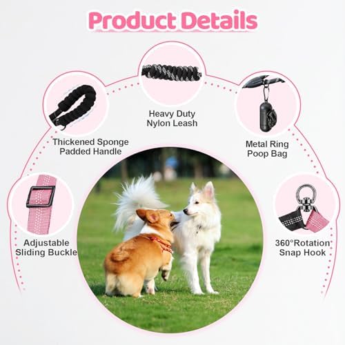 Double Dog Leash - Image 3