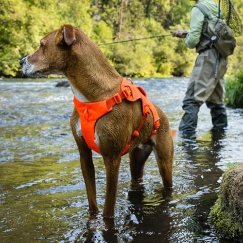 Ruffwear, Web Master Dog Body Harness, River Rock Green - Image 6