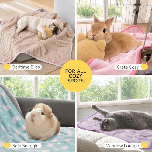 1 Pack 3 Blankets Super Soft Cute Dot Pattern Pet Blanket Flannel Throw - Image 6