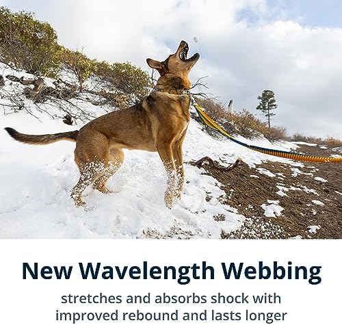 Ruffwear, Roamer Bungee Dog Leash - Image 3